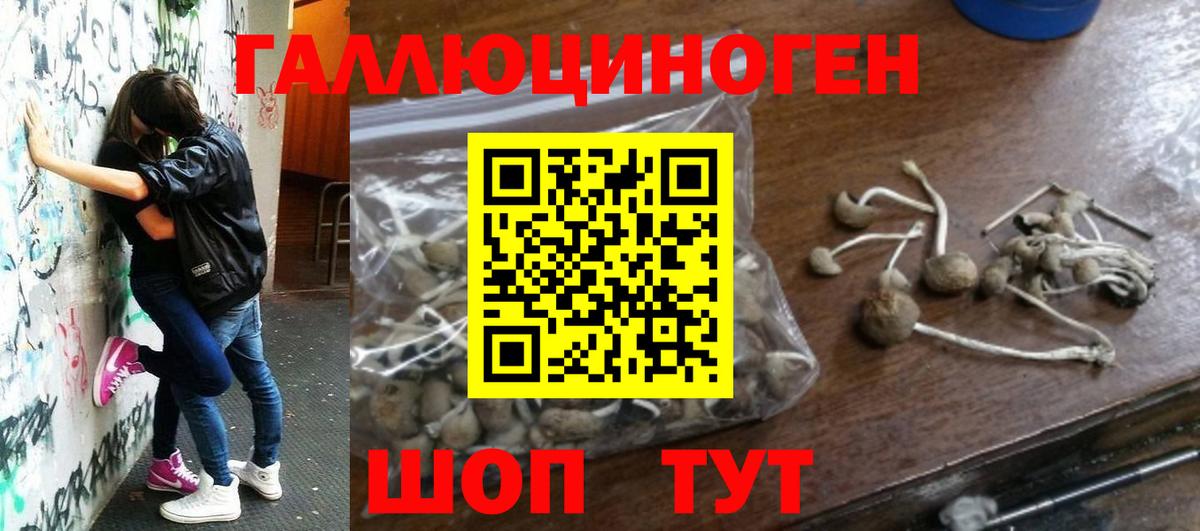 Галлюциногенные грибы прущие грибы Арсеньев